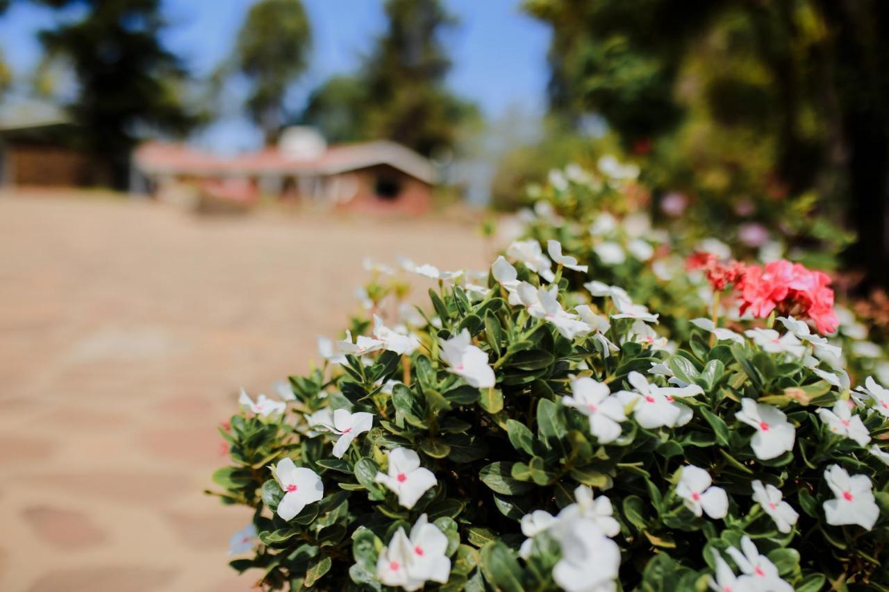 Villa Rancho El Parral San Marcos  Esterno foto
