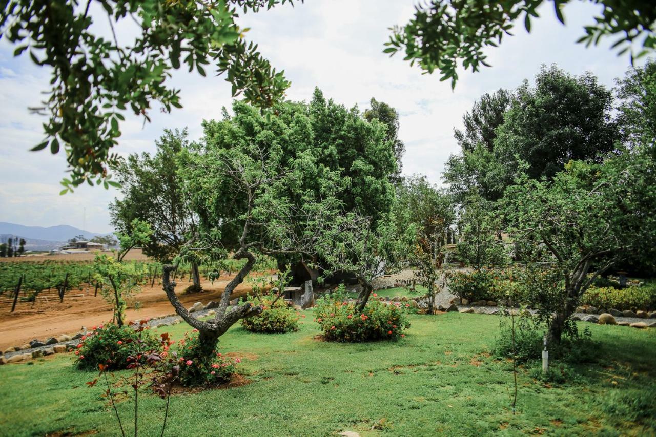Villa Rancho El Parral San Marcos  Esterno foto